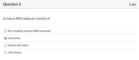 Solved Question 5 1 Pts A Mature RNA Molecule Consists Of Chegg