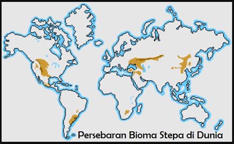 Bioma Stepa Padang Rumput Guru Geografi Man 1 Gunungkidul Diy