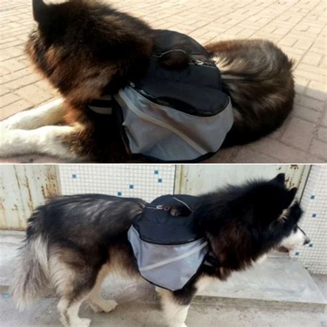 Собачий рюкзак для путешествий, тактический походный рюкзак для собак ...