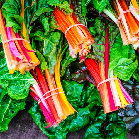 'Bright Lights' Swiss Chard Plants – Roots Plants