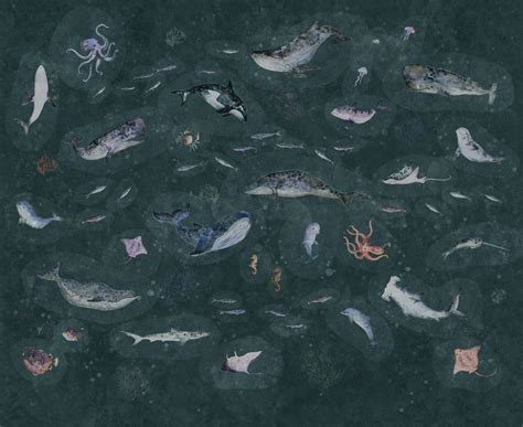 Обои MARINE LIFE