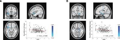 Frontiers Spontaneous Neural Activity In The Three Principal Networks