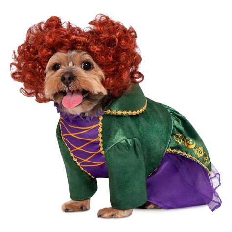 funny dog costumes   vetstreet vetstreet