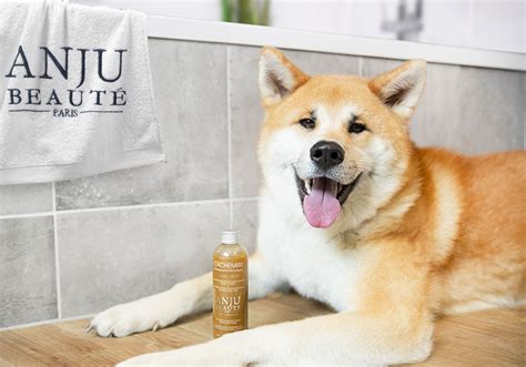 Anju-beaute.com : Grooming products for dogs and cats, made in France