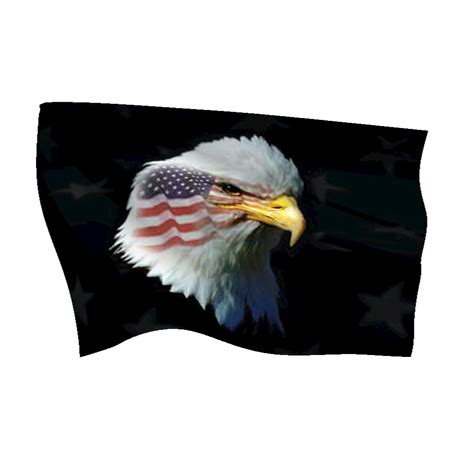 patriotic eagle flags international