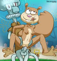 Sandy Cheeks E Hentai Lo Fi Galleries