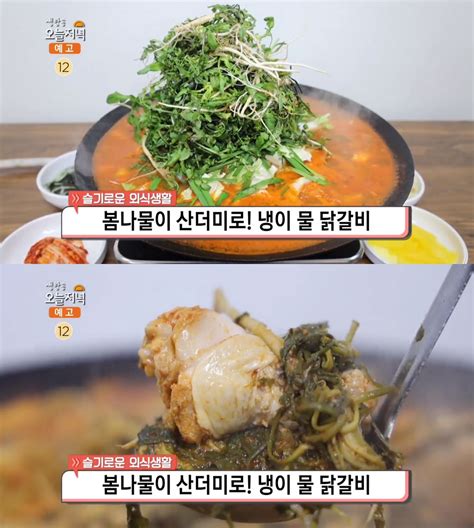 생방송오늘저녁 태백 냉이물닭갈비 맛집 위치는 백종원의 3대천왕 그 곳 네이트 연예