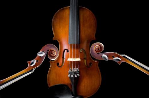 Beautiful Classical Musical Instruments