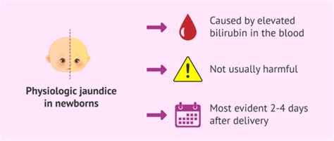 What is jaundice in the baby?