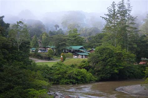 Danum Valley Conservation Area, Lahat Datu, Sabah - Holidify