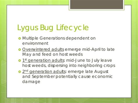 Lygus Bug