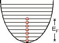 About Fermions & Bosons