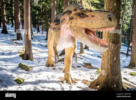 Dinosaurs Winter Hi Res Stock Photography And Images Alamy
