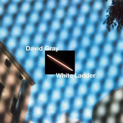 David Gray - White Ladder (2020 Remaster / WHITE) 2XLP Vinyl