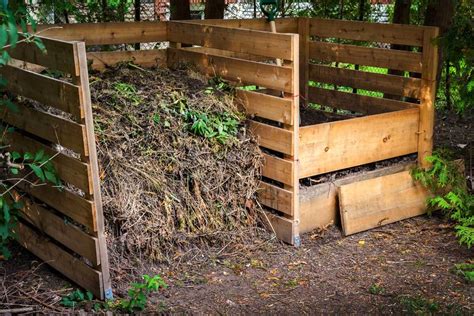 How To Compost At Home 7 Easy Diy Ways Laptrinhx News