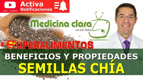 Descubre Los Incre Bles Beneficios De Las Semillas De Ch A Para Tu