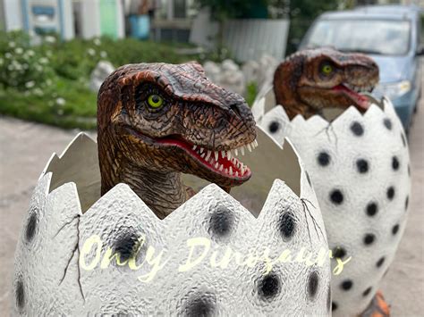 Real Dinosaur Egg