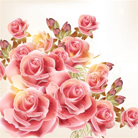 Pink rose background vector graphics free download