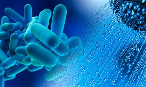 Legionella cos è quali sono i rischi sul lavoro