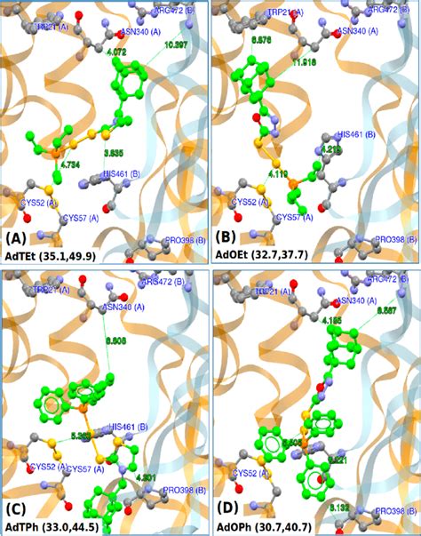 Docking Modes Predicted For The Gold Complexes And Leishmania Infantum