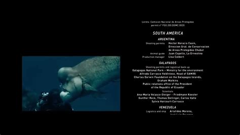 Disneynatures Oceans End Credits Youtube