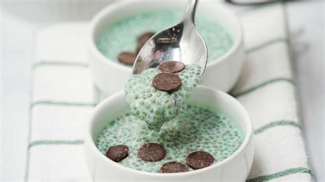 Keto Mint Chip Chia Pudding Carb Manager