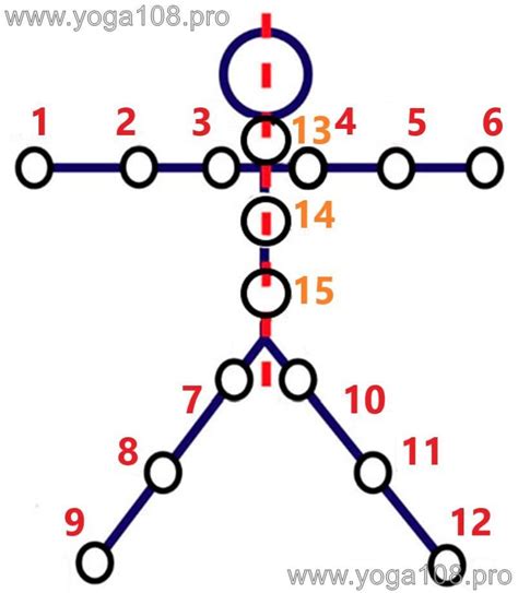Разминка, суставная гимнастика (сукшма вьяяма и другие варианты ...