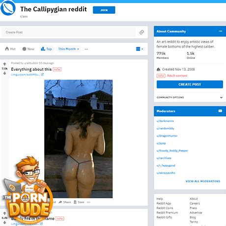 Reddit Ass R Ass NSFW Reddit Site