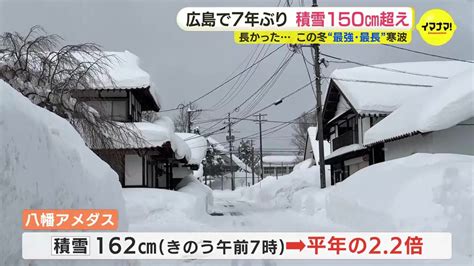 7年ぶりに積雪150センチ超え 日本最南端の豪雪地帯 広島・八幡アメダス 長かったこの冬“最強・最長” 寒波 ピーク過ぎても大量の雪はすぐ解け ...