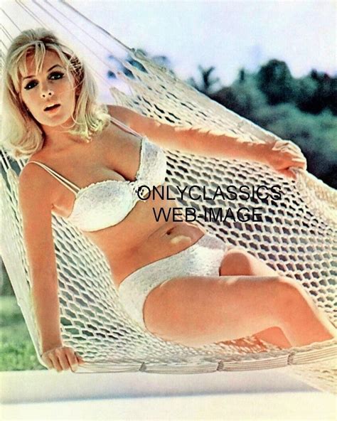 SEXY STELLA STEVENS BIKINI SWIMSUIT 8X10 PHOTO BUSTY ACTRESS PINUP CHEESECAKE EBay