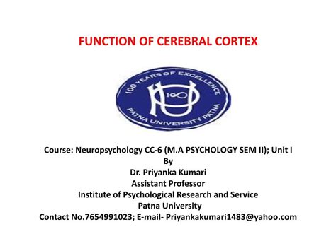 Function of Cerebral Cortex - DocsLib