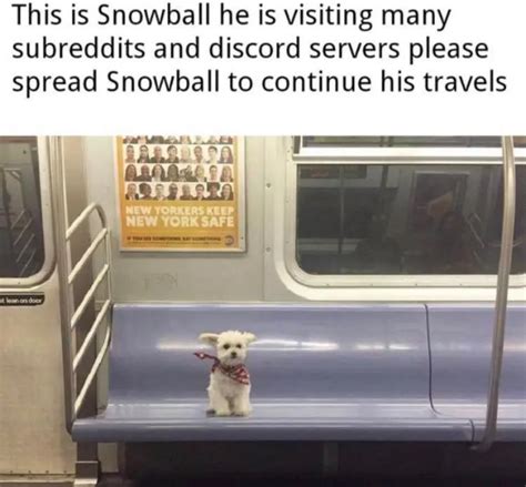 Oh Fuck Yeah Spread It Scrolller