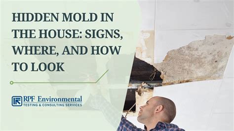 Hidden Mold In The House Signs Where And How To Look