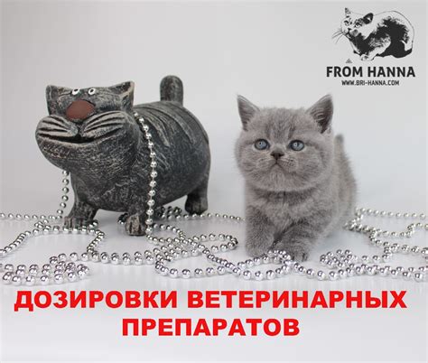 Дозировки ветеринарных препаратов для кошек, собак; дозы лекарств в мг ...