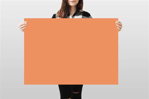 Photography Backdrop - Orange – Long Story Short Design and Print