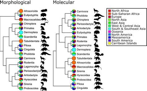 Evolutionary tree of life: modern science is showing how we got so much ... 