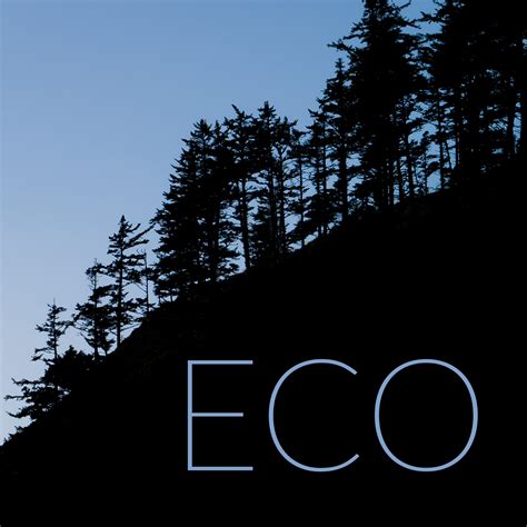 ecola park silhouette tuckyhut