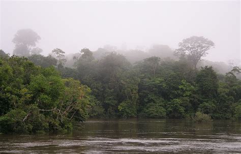 Central Suriname Nature Reserve: A Bastion of Biodiversity & Cultural ...