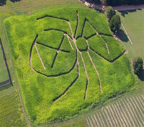 Corn Maze in Hernando, Mississippi ? Cedar Hill Farm's Corn Maize