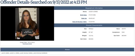 Nashville's Inmate Search: Discover The Elusive, Track Down The Unknown ...