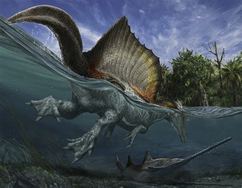 big   baby spinosaurus