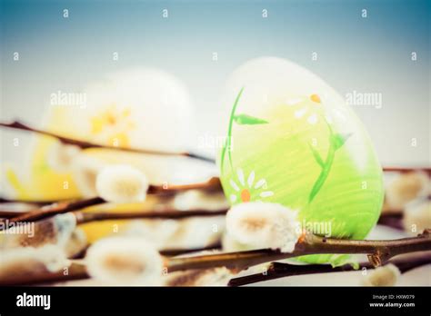 Pussy Willow And Easter Eggs Stock Photo Alamy