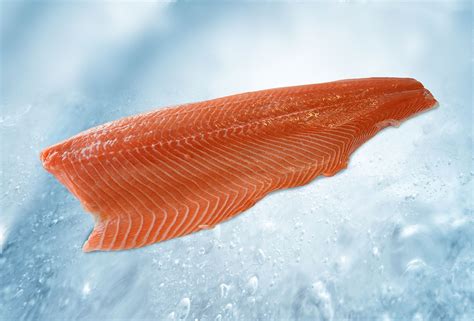 Zalm (Salmo Salar) Premium kwaliteit | Neerlandia Urk