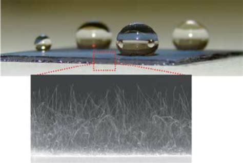 Nearly Spherical Water Droplets On Surfaces Coated With BNNTs