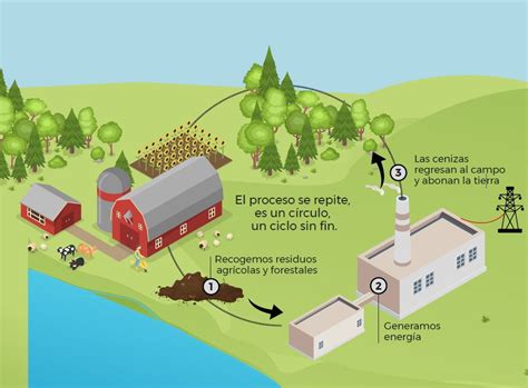 Del campo a tus electrodomésticos así funciona una planta de biomasa