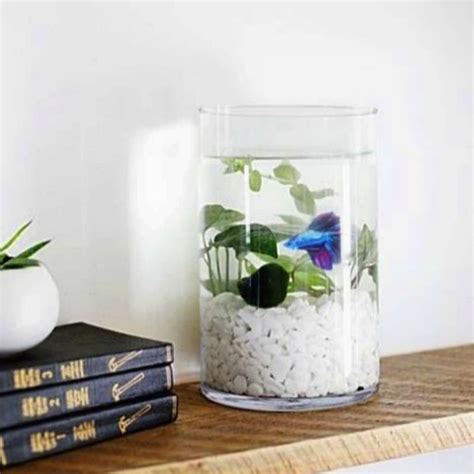 Jual Aquarium Kaca Tabung Akuarium Ikan Hias Guppy Cupang Aquascape