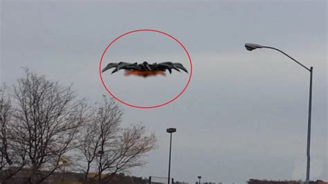 British UFO witness breaks silence, claims to have seen something ...