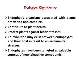 Endophyte Pptx