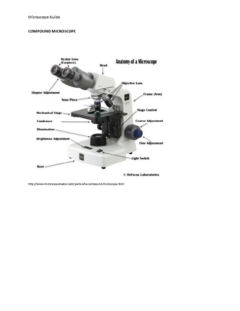 Microscope Guide Bio Compound Microscope Microscopemaster Parts