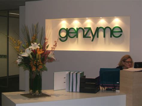 Plant Hire Sydney And Indoor Office Plant Hire The Plant Man